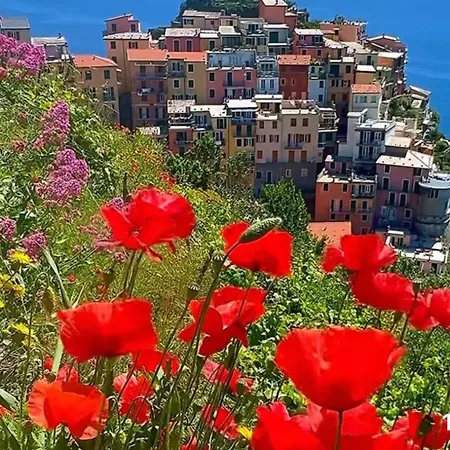 Casa Nori